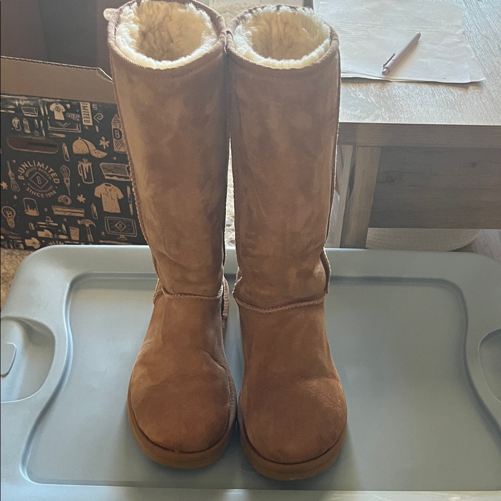 UGG Chestnut Shearling-Lined Winter Boots